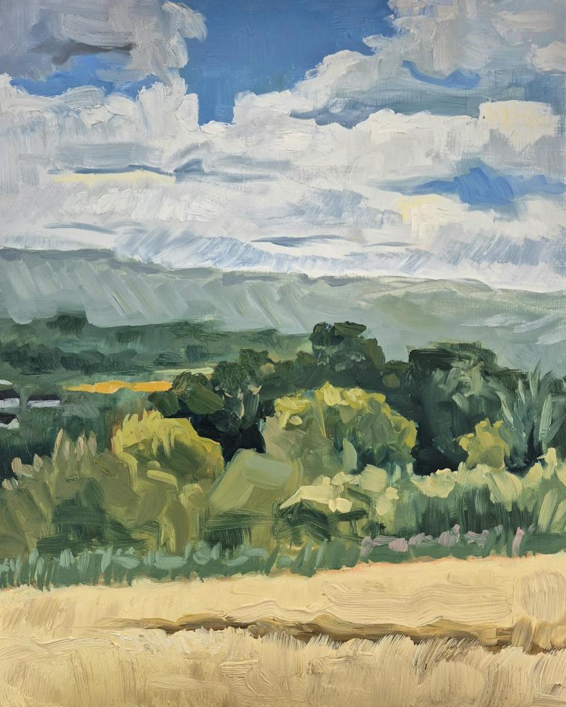 De heuvels van Andernach.